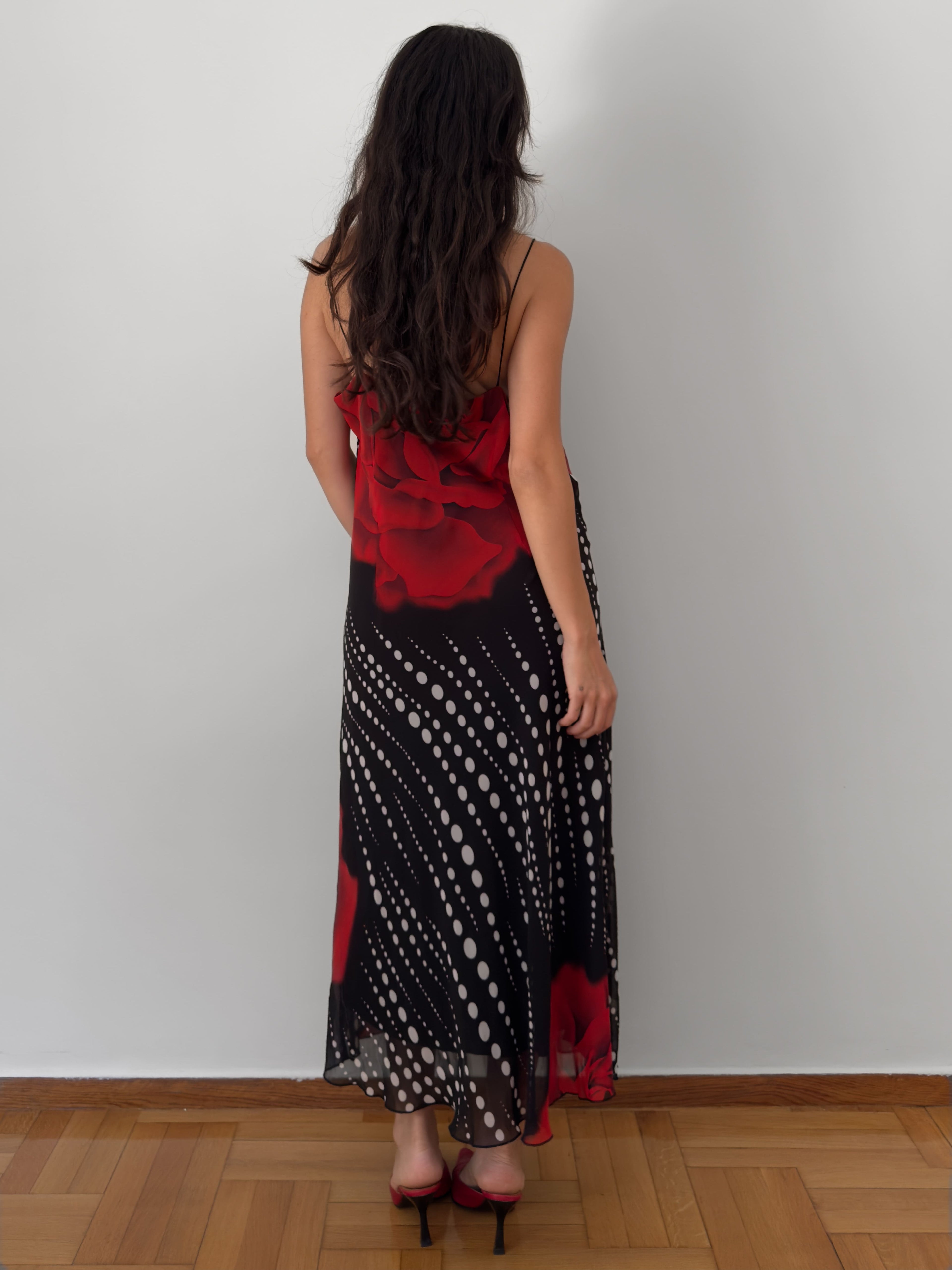 Rose Print Polka Dot Slip Dress