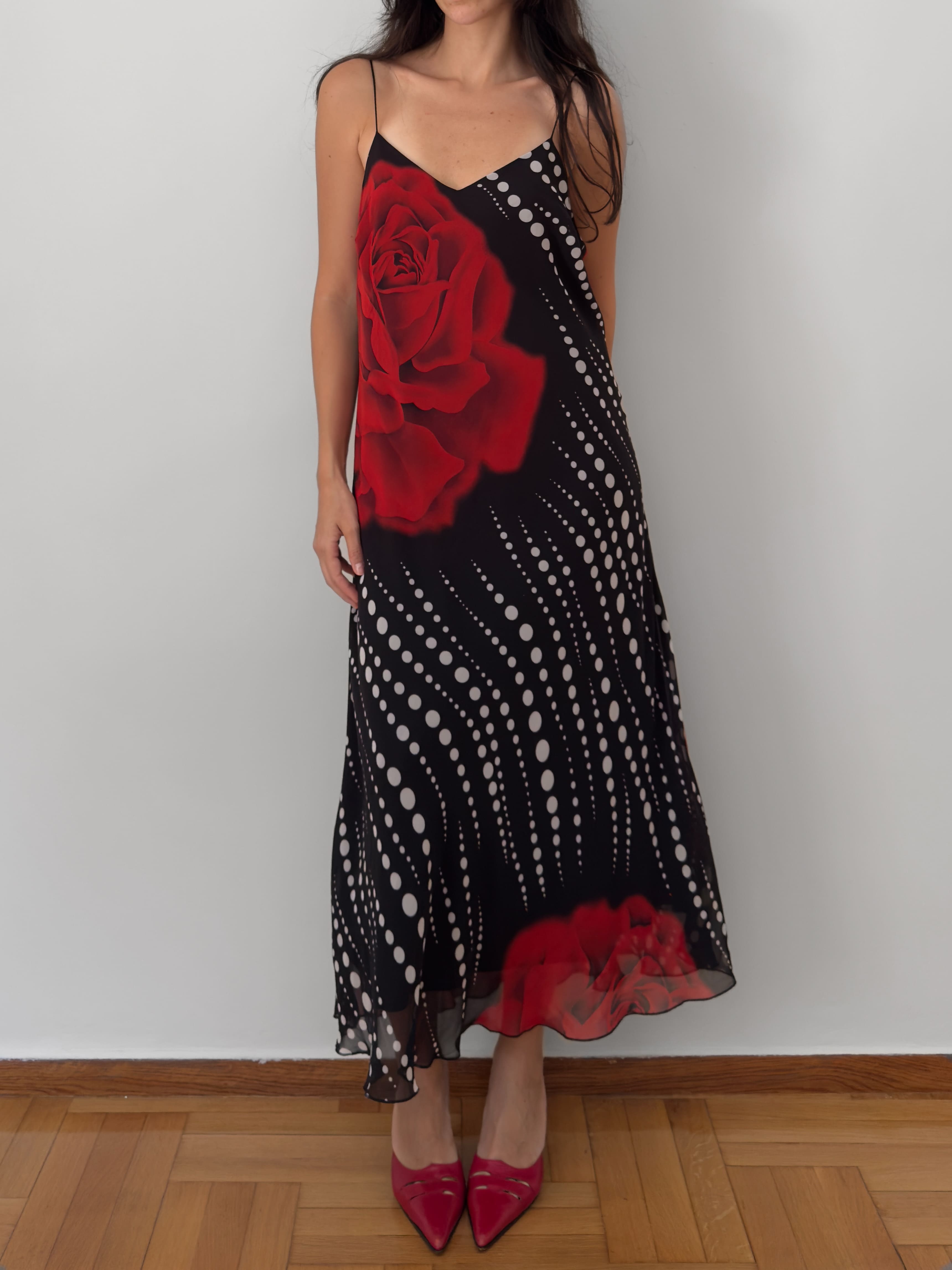 Rose Print Polka Dot Slip Dress