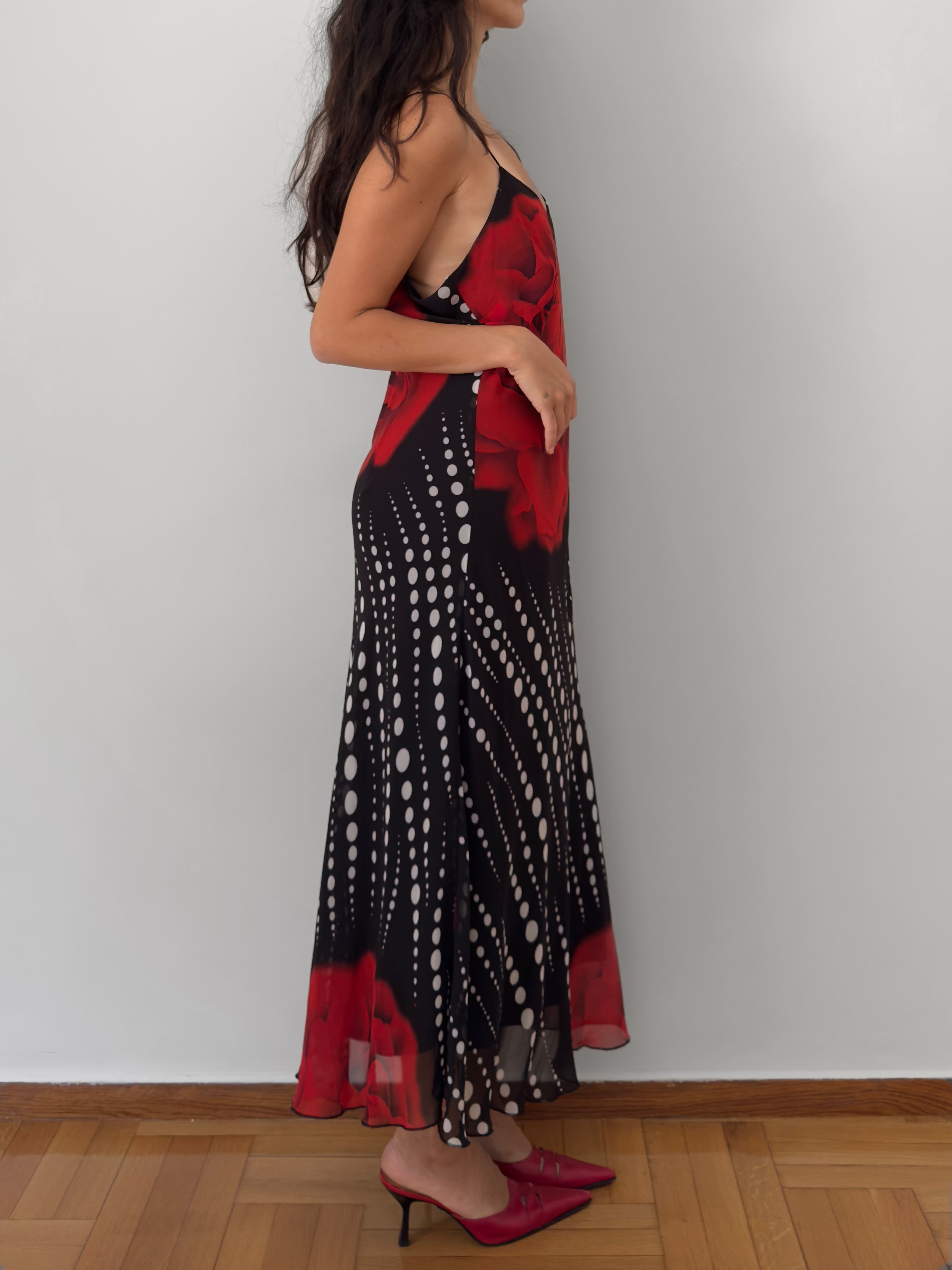 Rose Print Polka Dot Slip Dress
