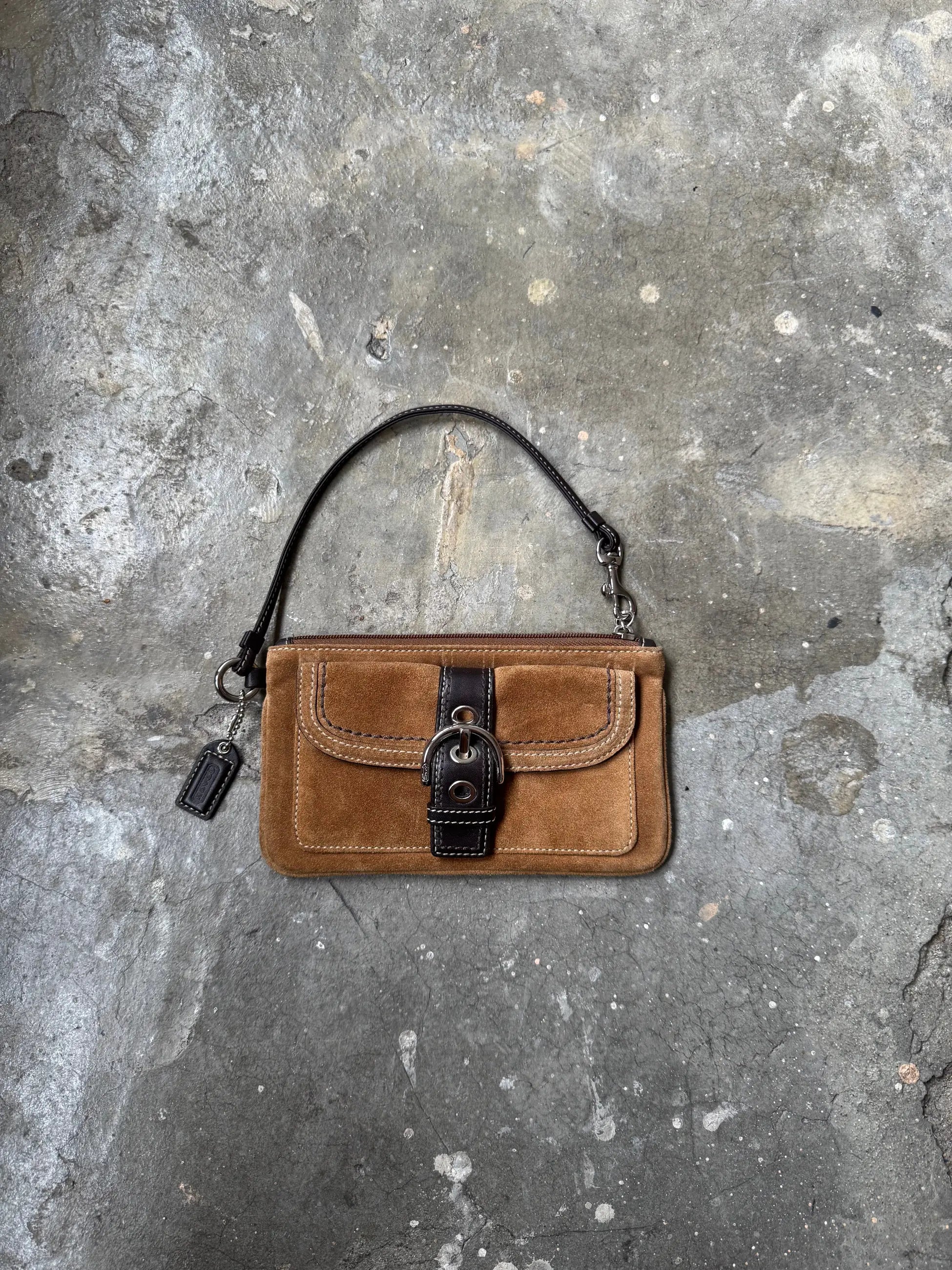 Coach Mini Bag/Wallet