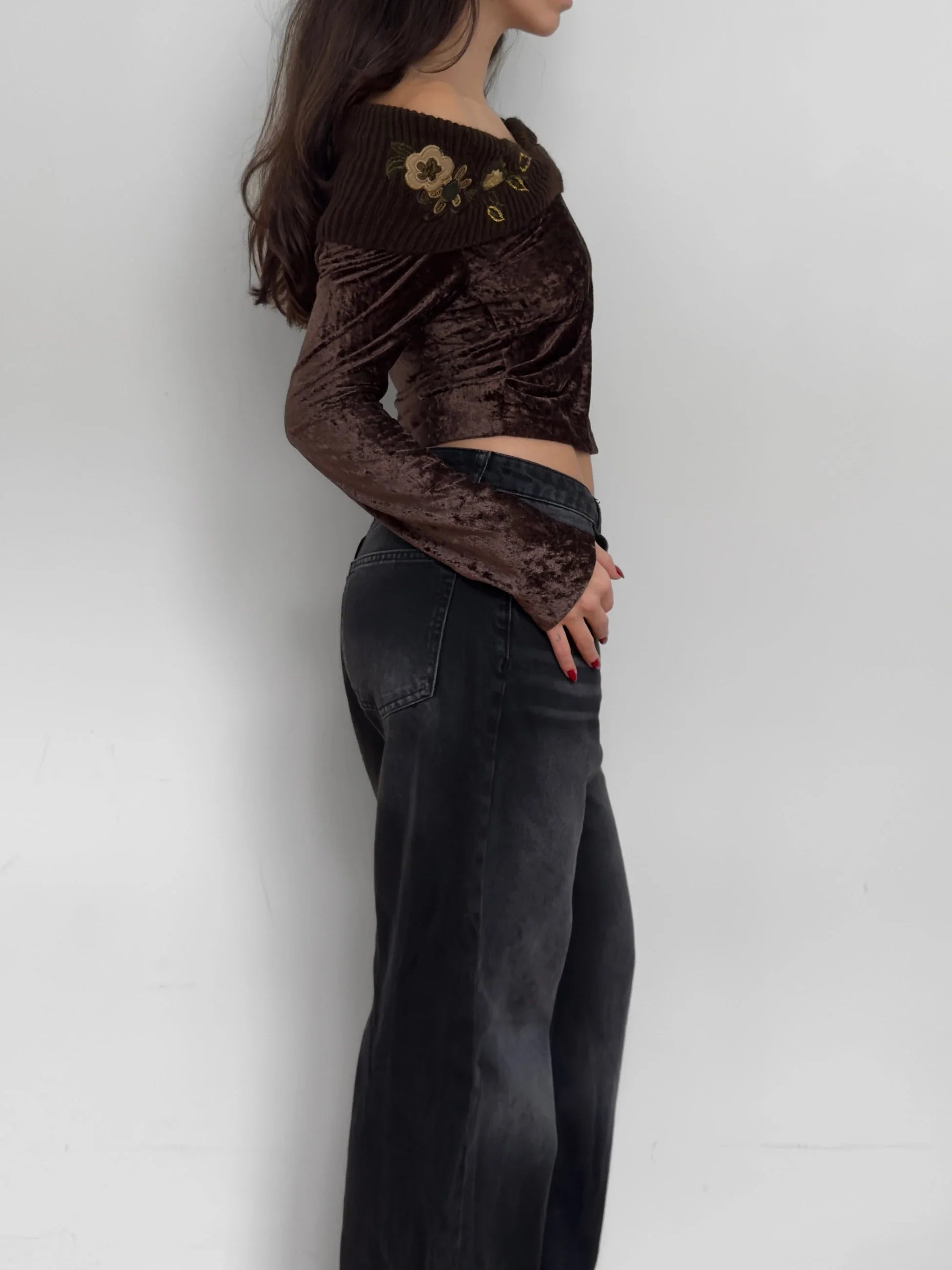 Embroidered Velvet Blouse