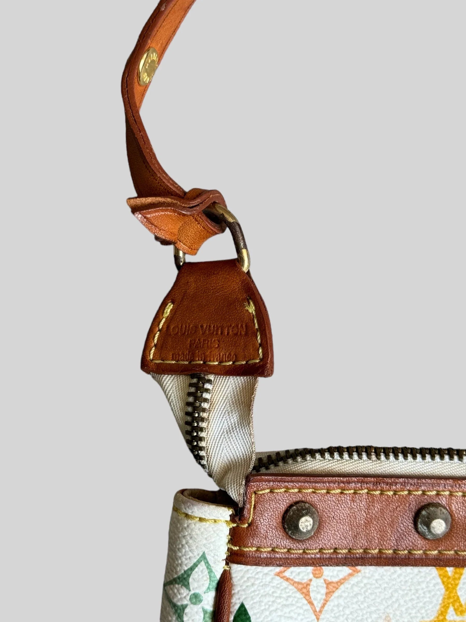 Louis Vuitton Multicolor Baguette Bag