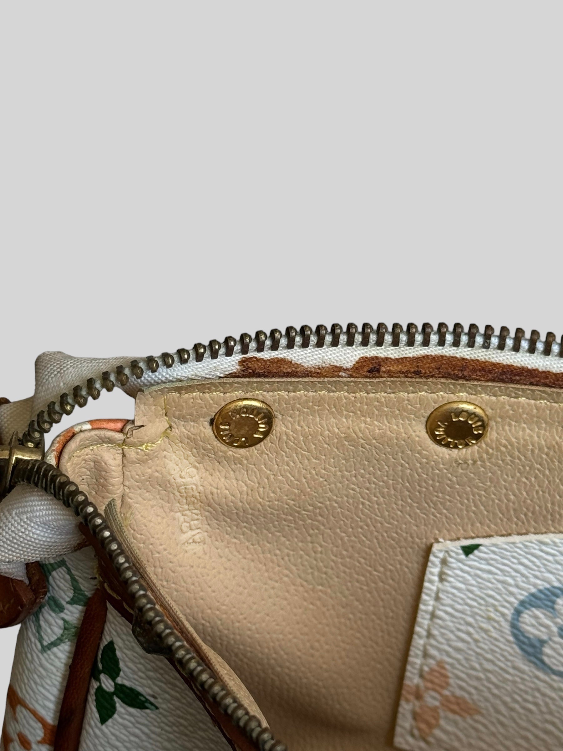 Louis Vuitton Multicolor Baget Çanta